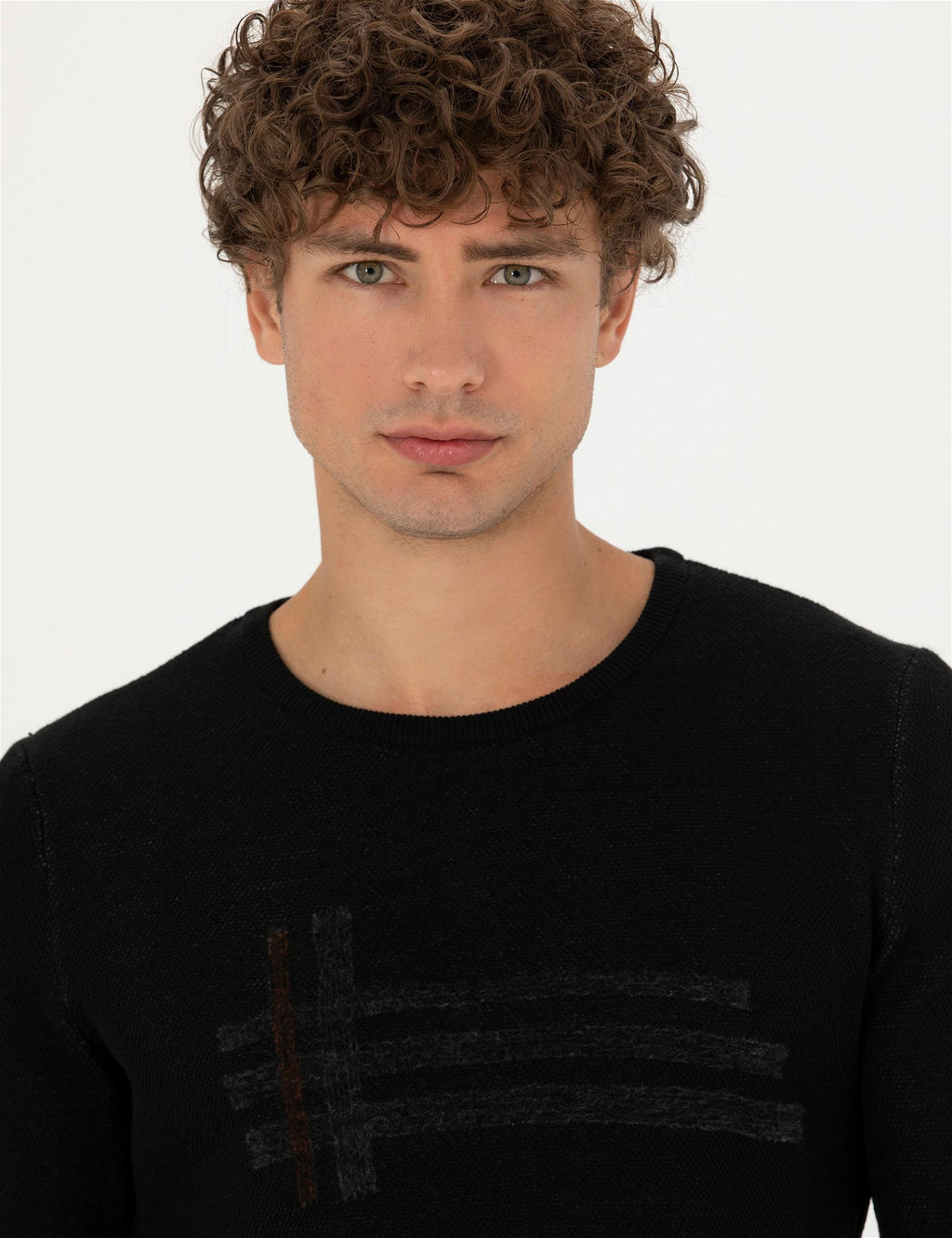 Siyah Slim Fit Bisiklet Yaka Triko Kazak - Pierre cardin фото 2