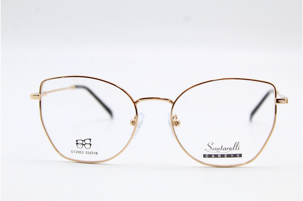 Оправа Santarelli 3 В 1 2953 53-18-145 С1