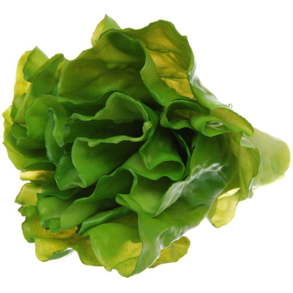Муляж "Салат Латук" 17*15см