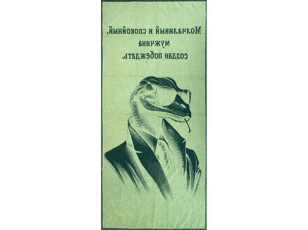6с102.411ж1 Змей-007 (еловый) Полотенце махровое 67х150см