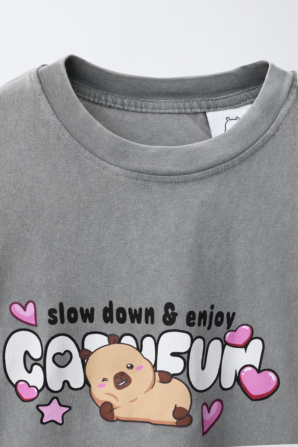 FADED-EFFECT CAPYBARA CAPYFUN  T-SHIRT - Zara фото 3