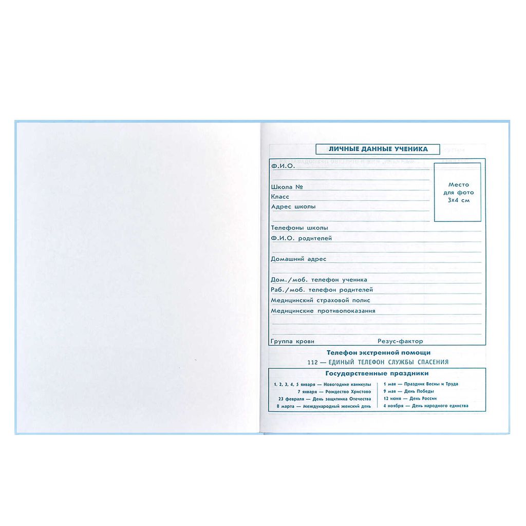 Дневник школьный 1-4 класс арт. 60063 ДЕВИЧЬИ ИГРЫ - Феникс+ фото 6