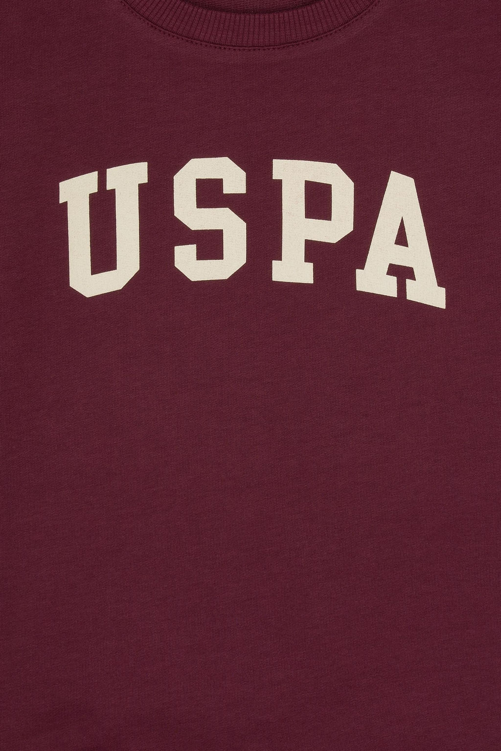 Erkek _ocuk Bordo Basic Bisiklet Yaka Sweatshirt Sepette S_rpriz _ndirim - U.s. polo assn фото 3