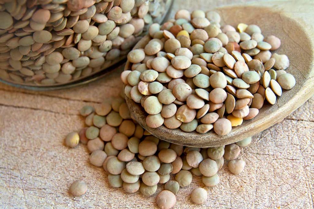 Чечевица зеленая