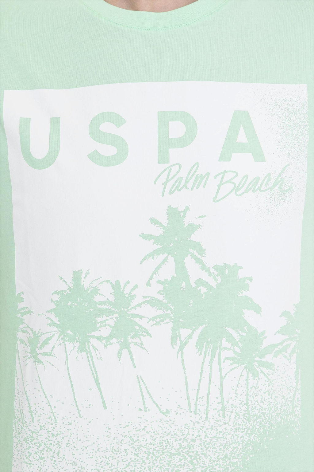U. S. Polo Assn Мужская мятная футболка с круглым вырезом - U.s. polo assn фото 12