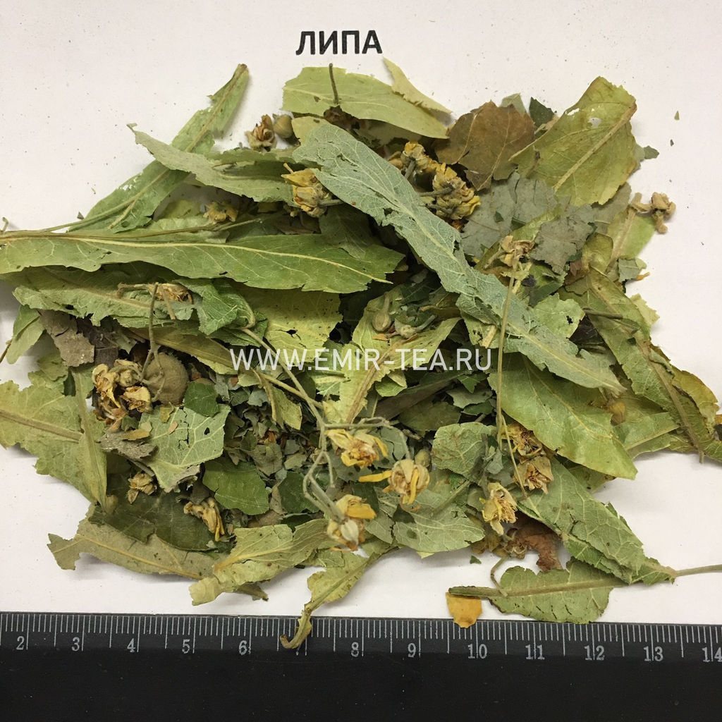 Липа (код 0171)