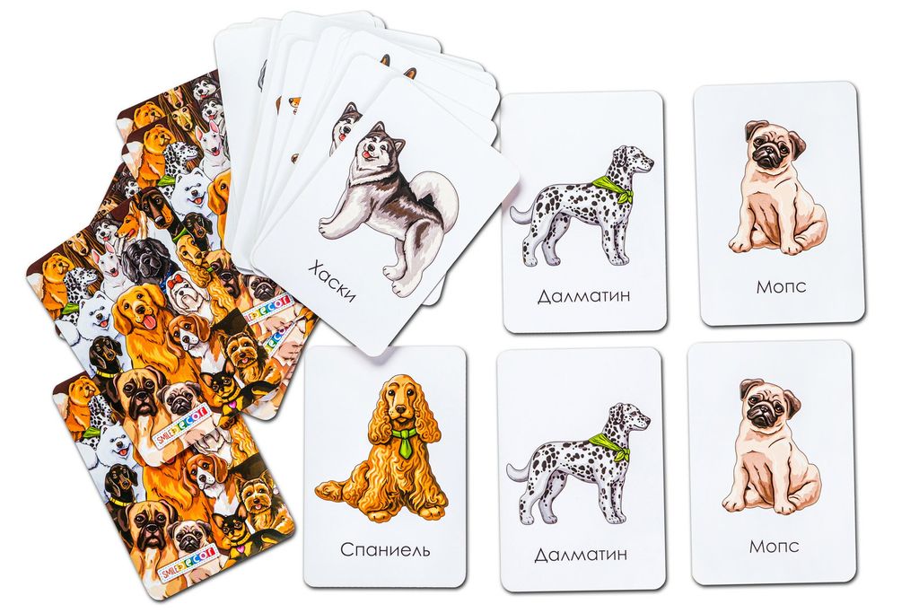 Набор карточек Породы собак - Smiledecor фото 3