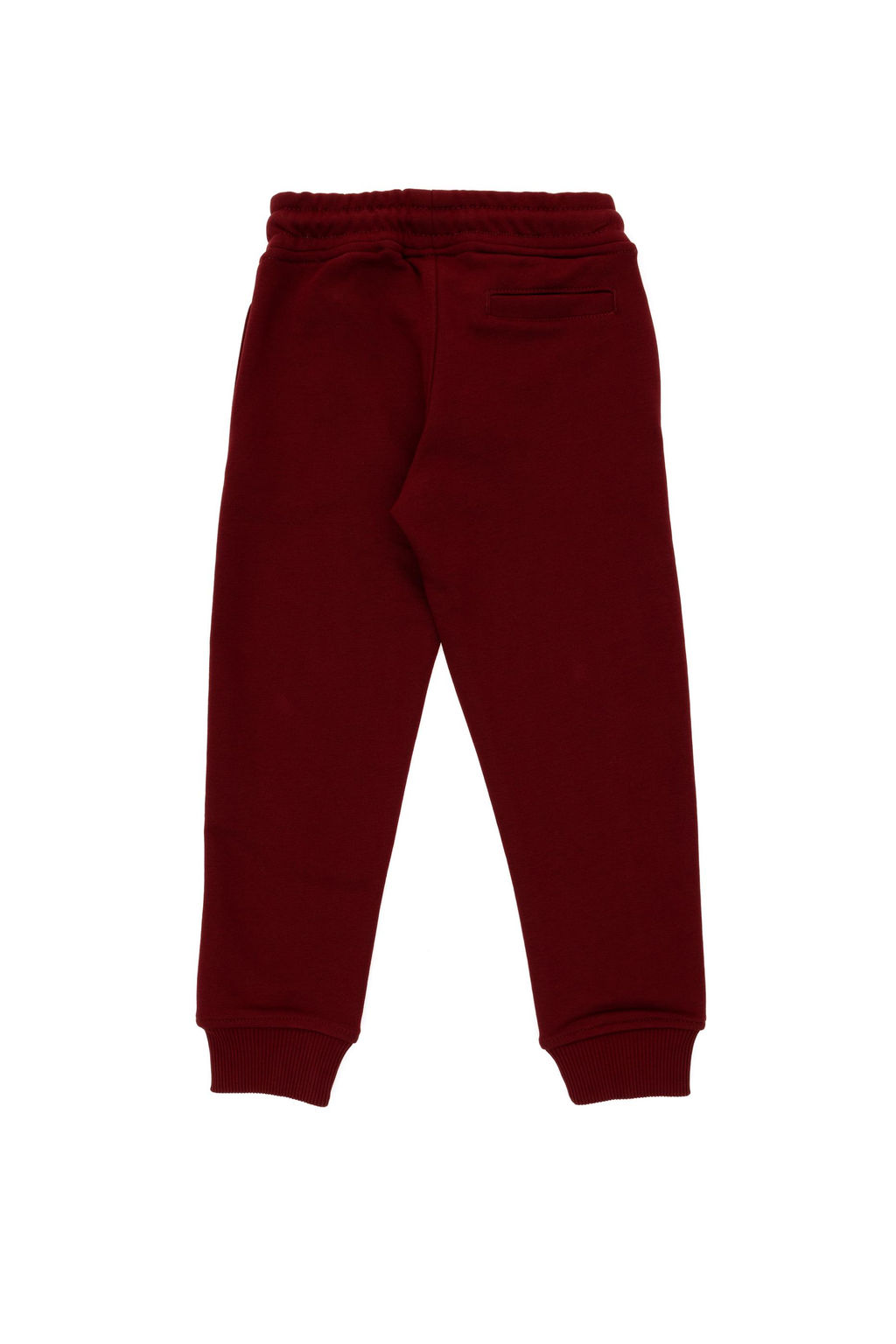 Бордовые спортивные штаны для мальчика Неожиданная скидка в корзине - U.s. polo assn фото 3