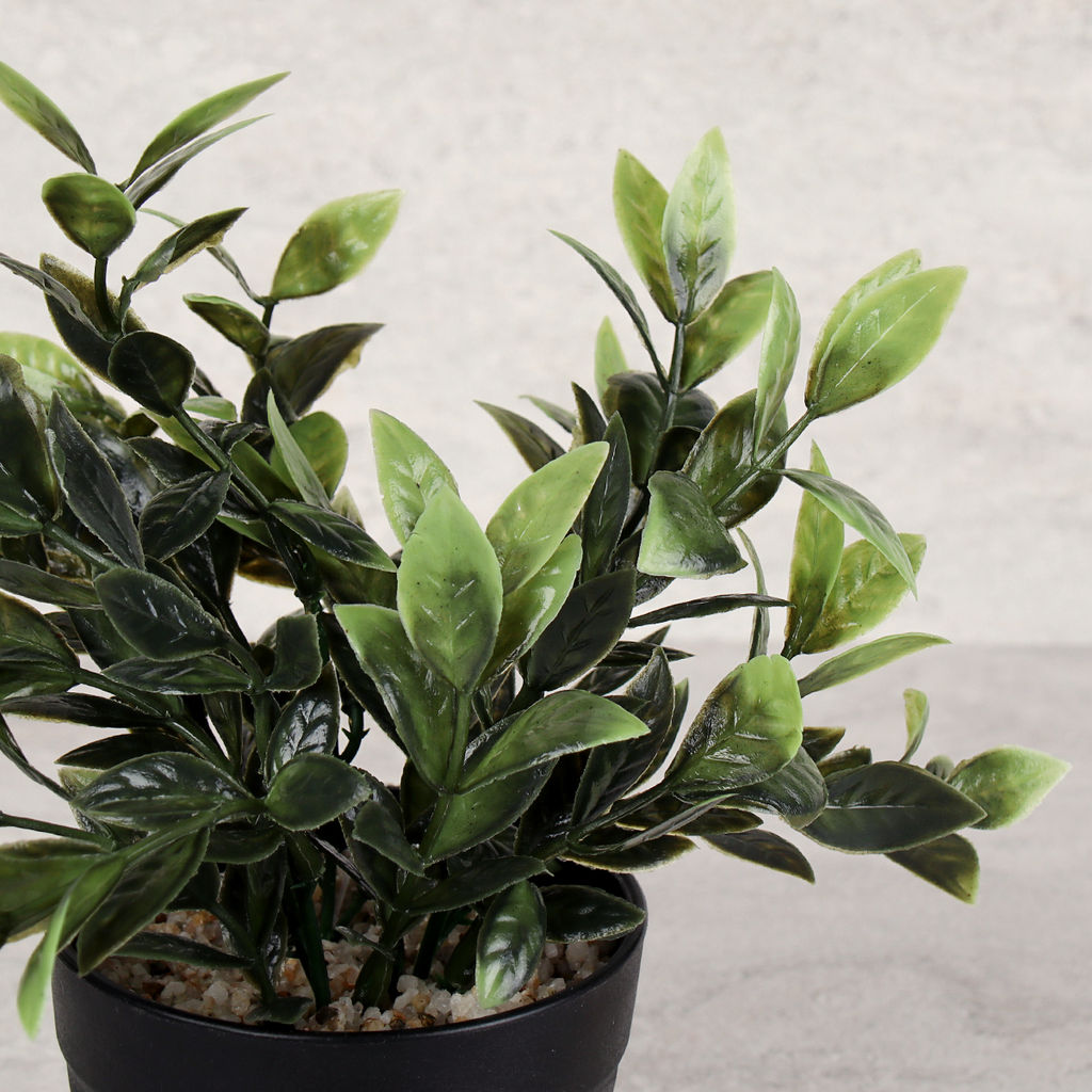 Цветочная композиция Зелень 20 см / CW414-7 /уп 6/96/ - Галеонтрейд фото 2