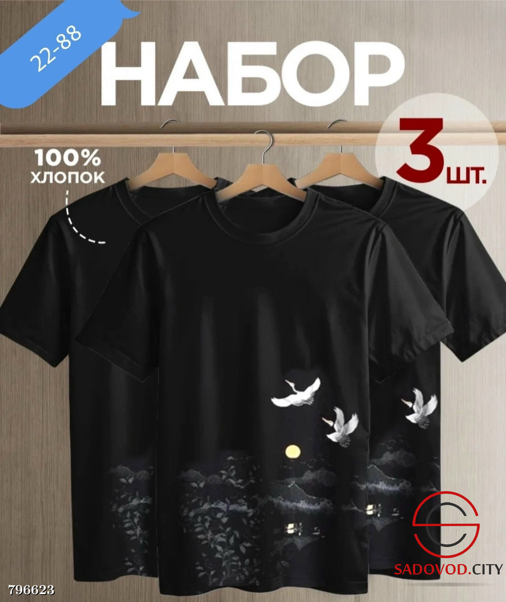 Набор мужских футболок (3 шт)