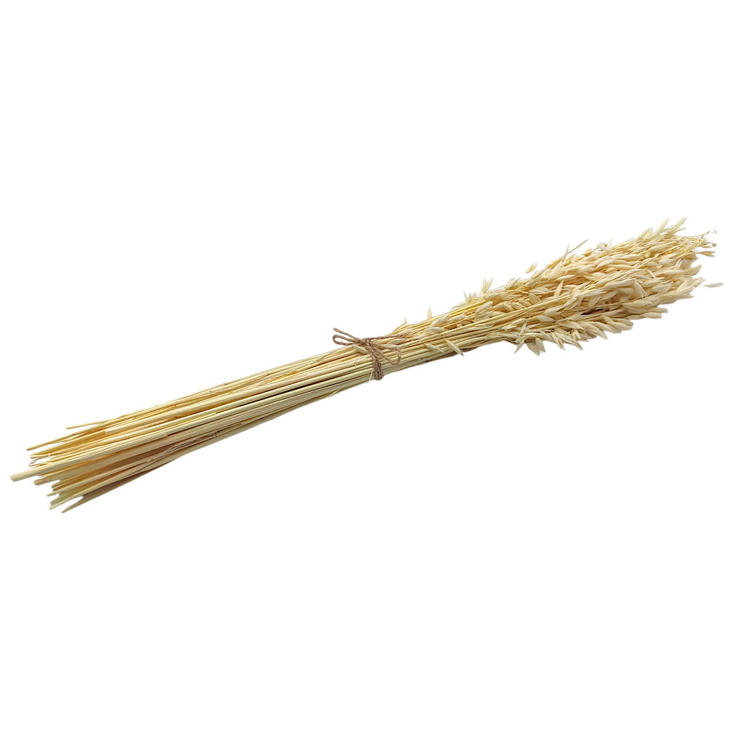 Овес отбеленный, пучок 80г, 60 колосьев, h 60-70см