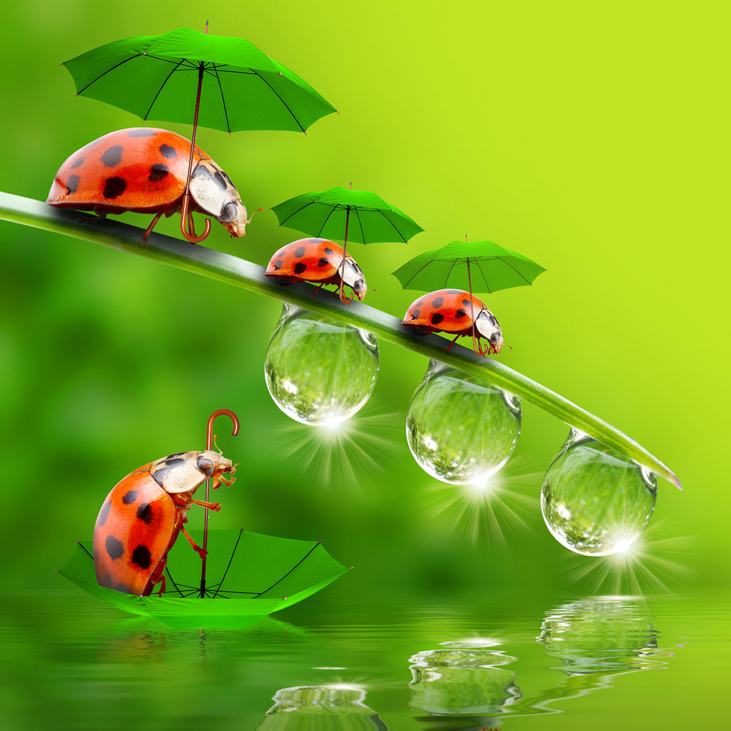 Большой, красивый двусторонний платок с рисунком в стиле арт-декои необычной текстурой ткани - Tantino фото 2