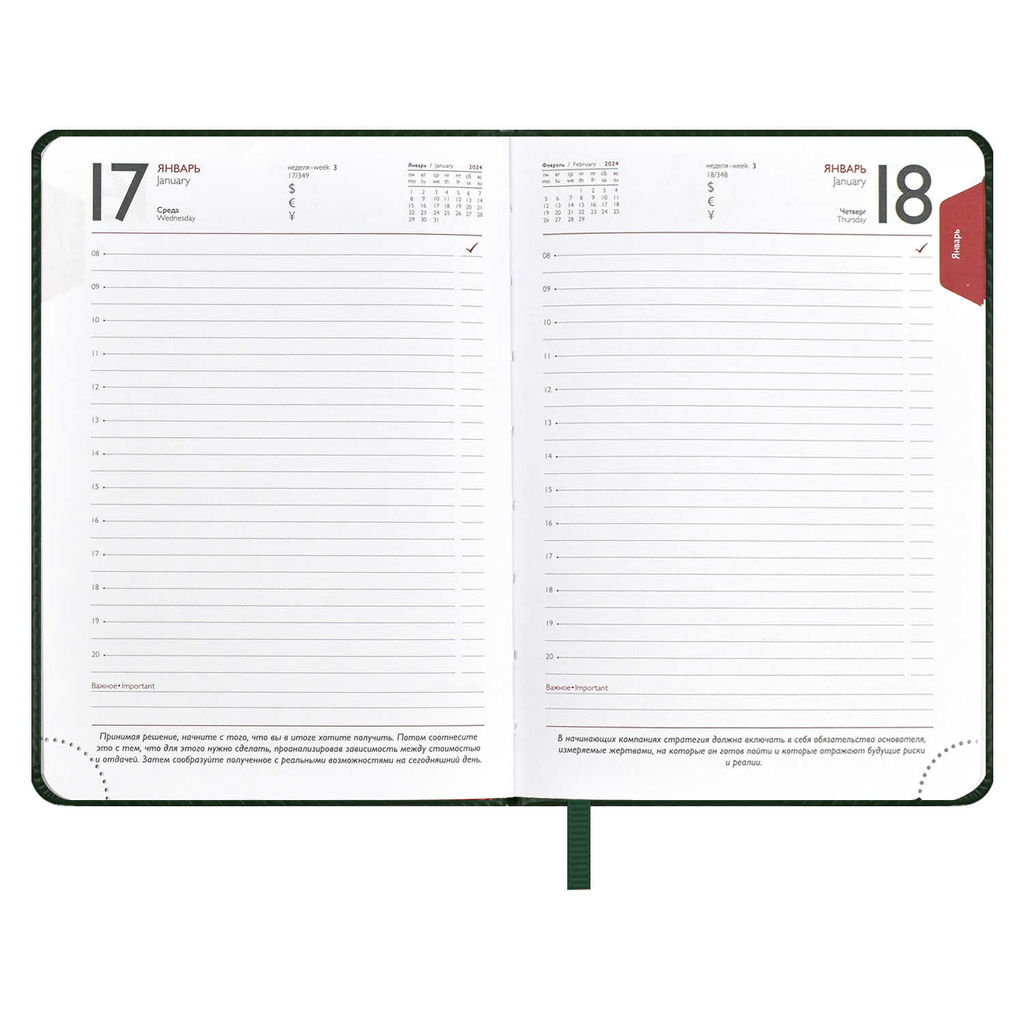 Ежедневник датированный 2024 ESCALADA, А6+, 176 л., арт. 63791/ 20 САРИФ ЗЕЛЁНЫЙ фото 10