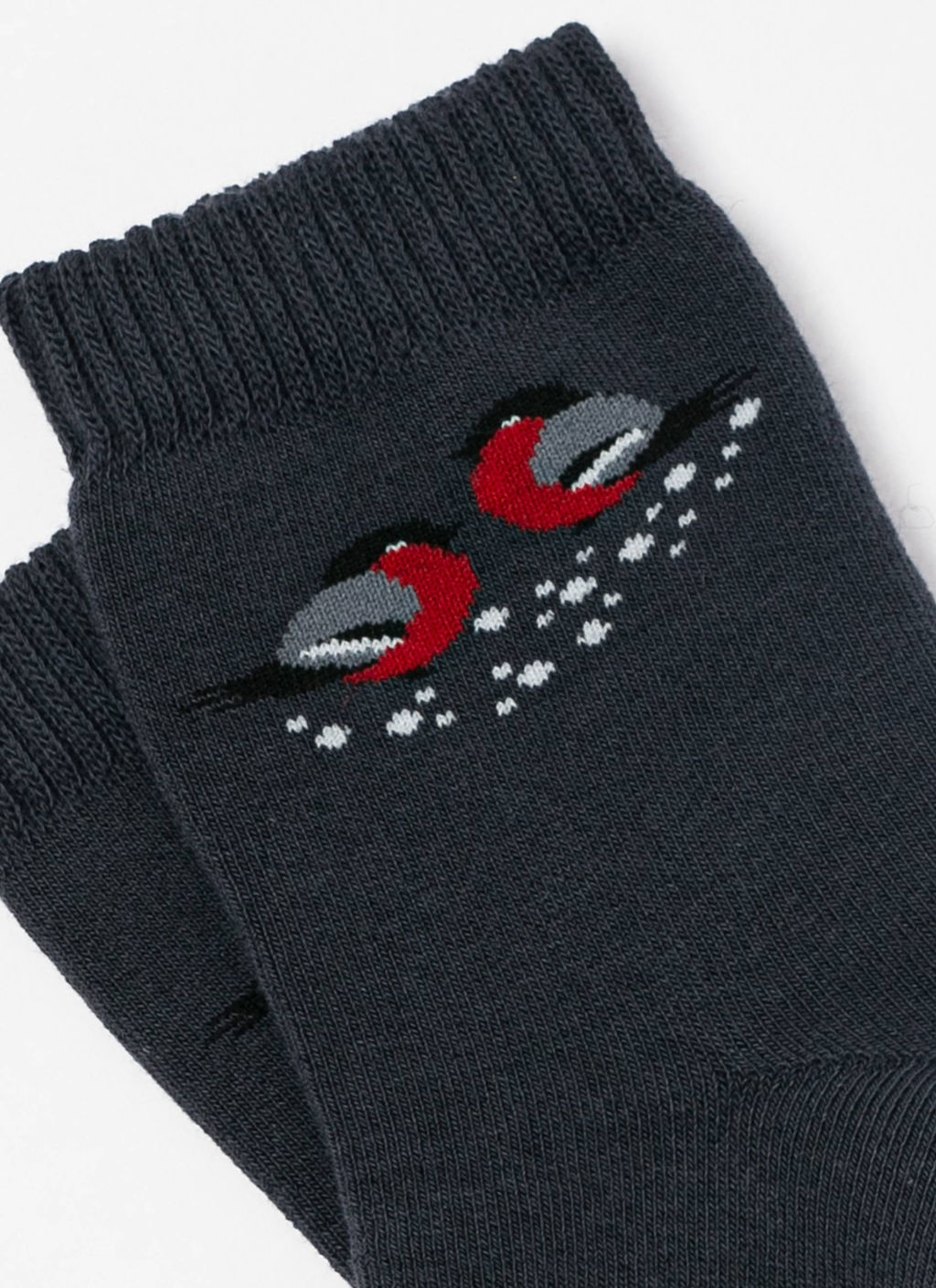 Цена за 2 пары. Носки женские БРЕСТСКИЕ НОСКИ ЖЕНСКИЕ 1408 ARCTIC (махровые) - Conte elegant фото 3