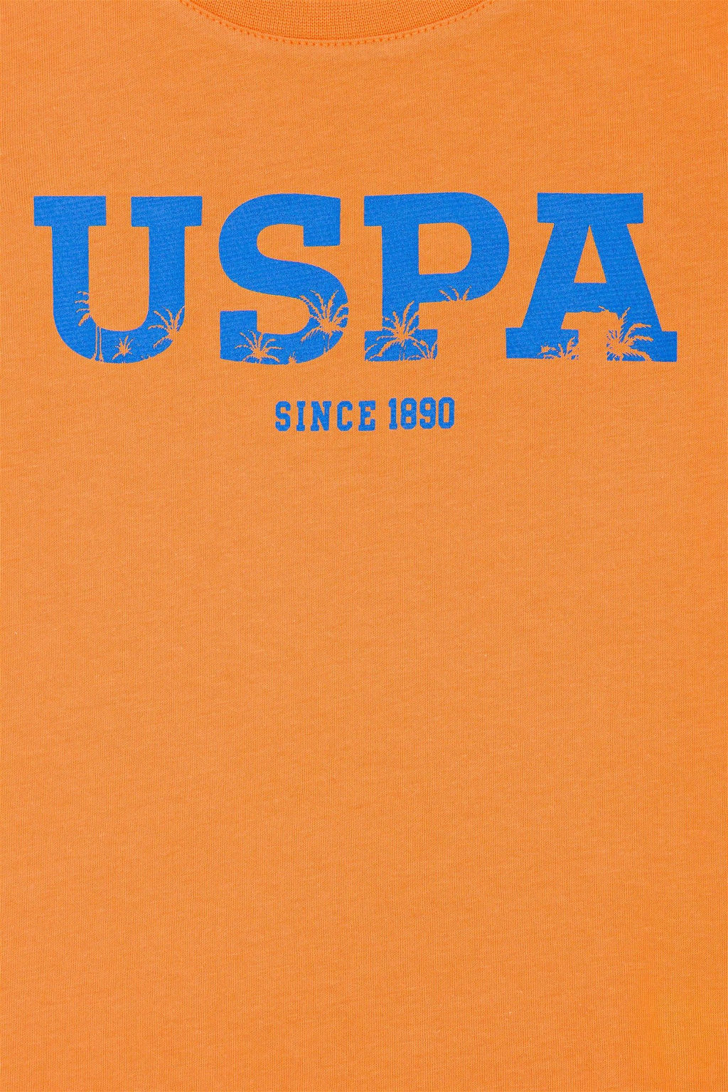Детская оранжевая футболка с круглым вырезом Неожиданная скидка в корзине - U.s. polo assn фото 5