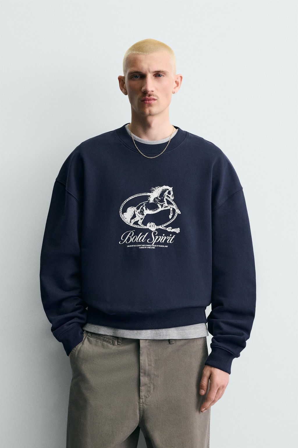 SUDADERA CREWNECK ESTAMPADO CABALLO / Marino - Zara фото 4