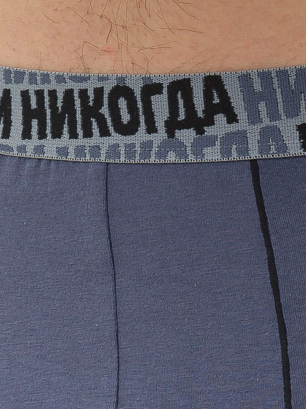 PELICAN, трусы мужские, Черника  фото 6