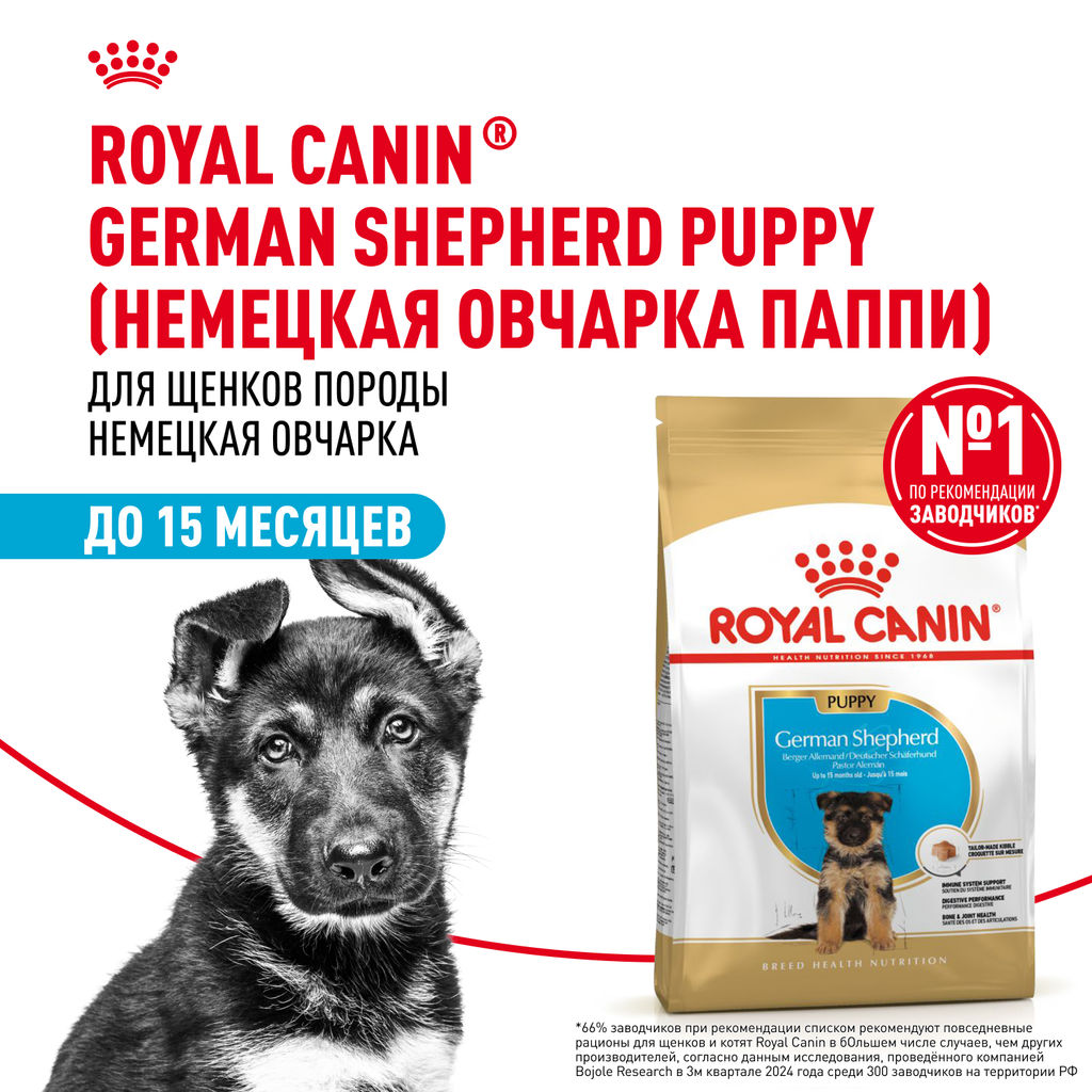 RC Для щенков Немецкой овчарки: до 15мес. (German Shepherd puppy 30) 25190300R1