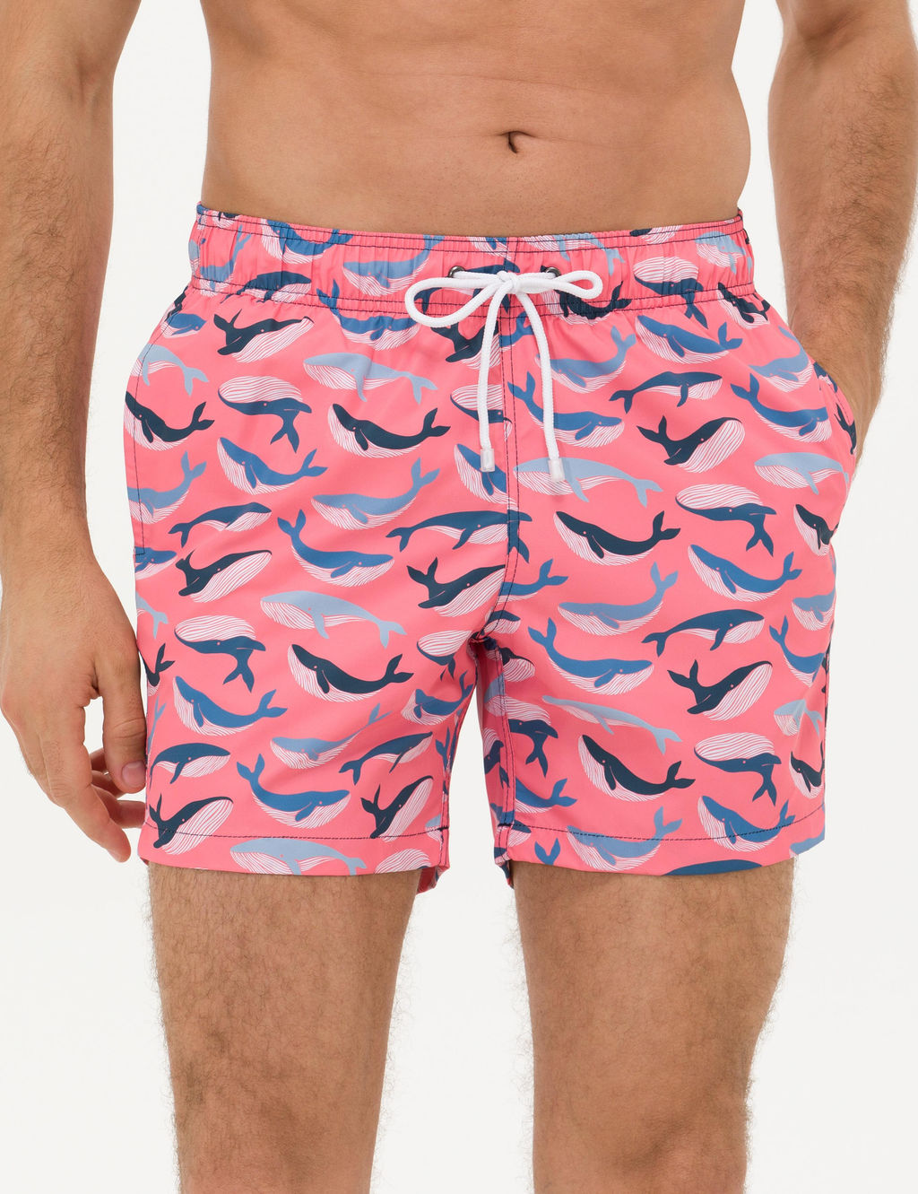 Pembe Deniz _ortu