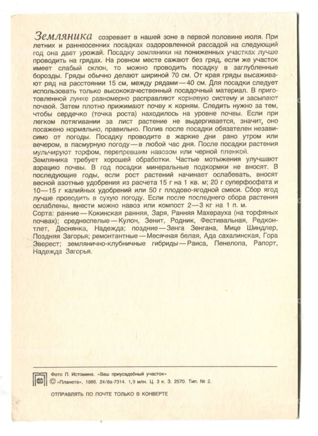 Открытка Земляника