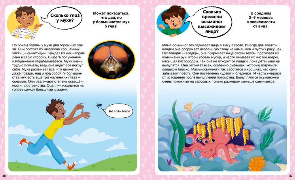 Сколько? 100 вопросов и ответов в картинках. Франко К. - Махаон фото 5