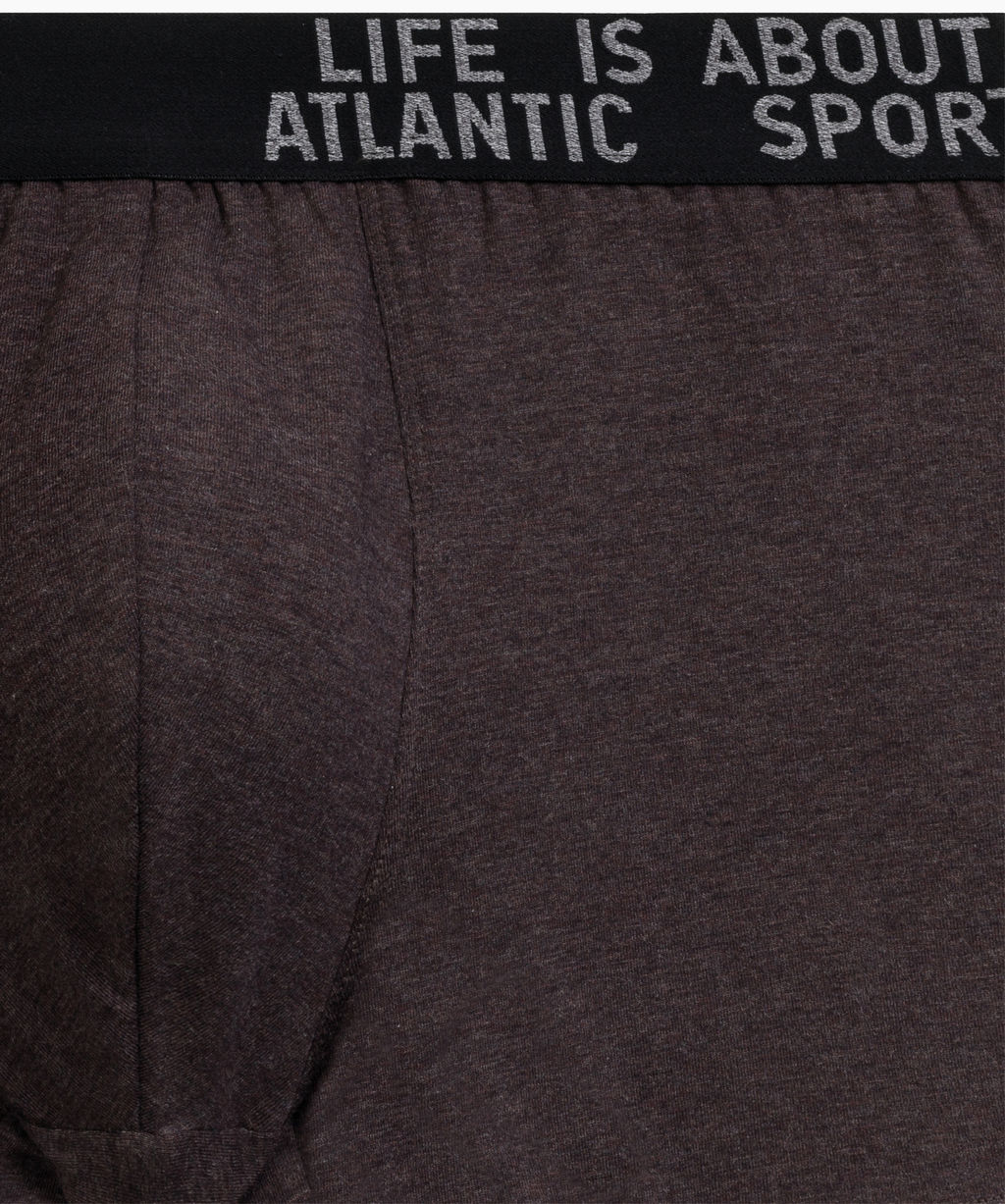 ATLANTIC 3MH-226 Трусы шорты Melange - набор 3 шт. темно-серый меланж + медно-багряный меланж + коричневый меланж фото 6