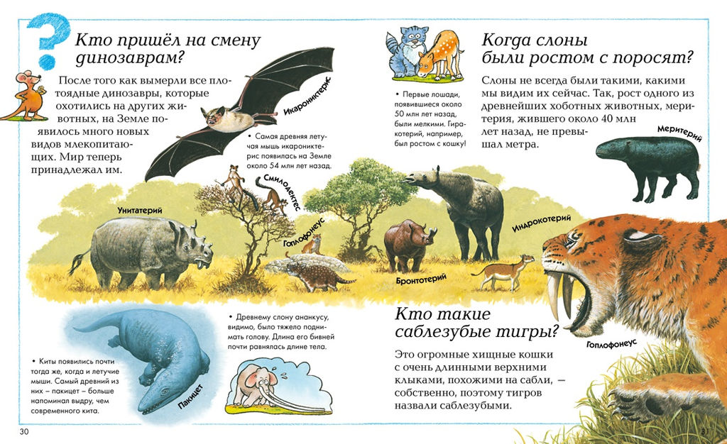 Где, что и когда?. Тейлор Б., ОНейл А., Макдональд Ф.,... - Махаон фото 11