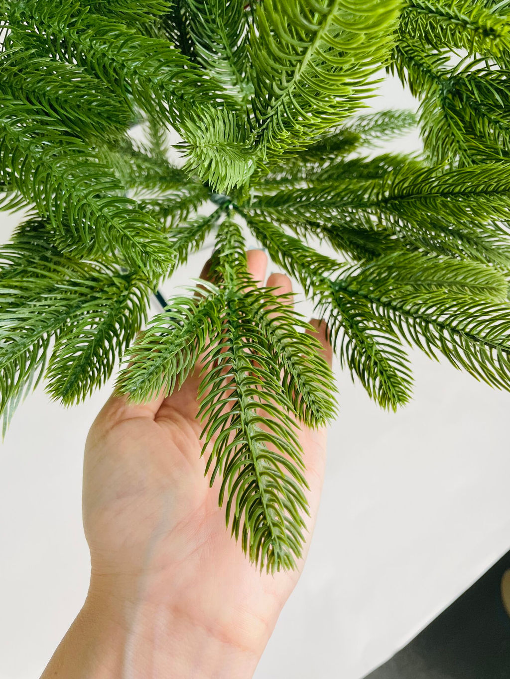 Ель литая круглые ветки (шишки, ягоды) 210 см - Ип лебедев о.ю фото 9