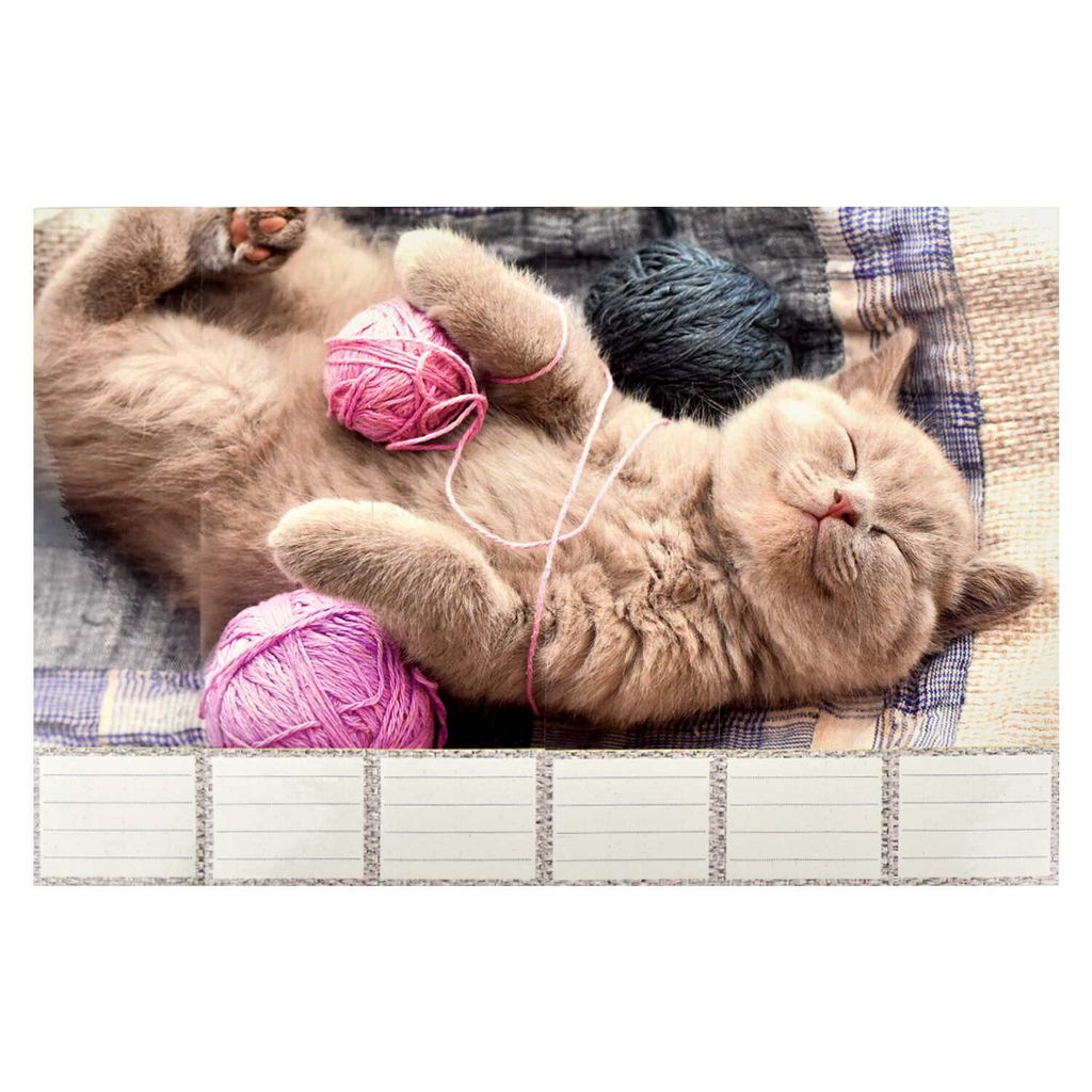 Этикетки самоклеящиеся для папок-регистраторов с корешком 7 см арт. 58513 - Escalada фото 2