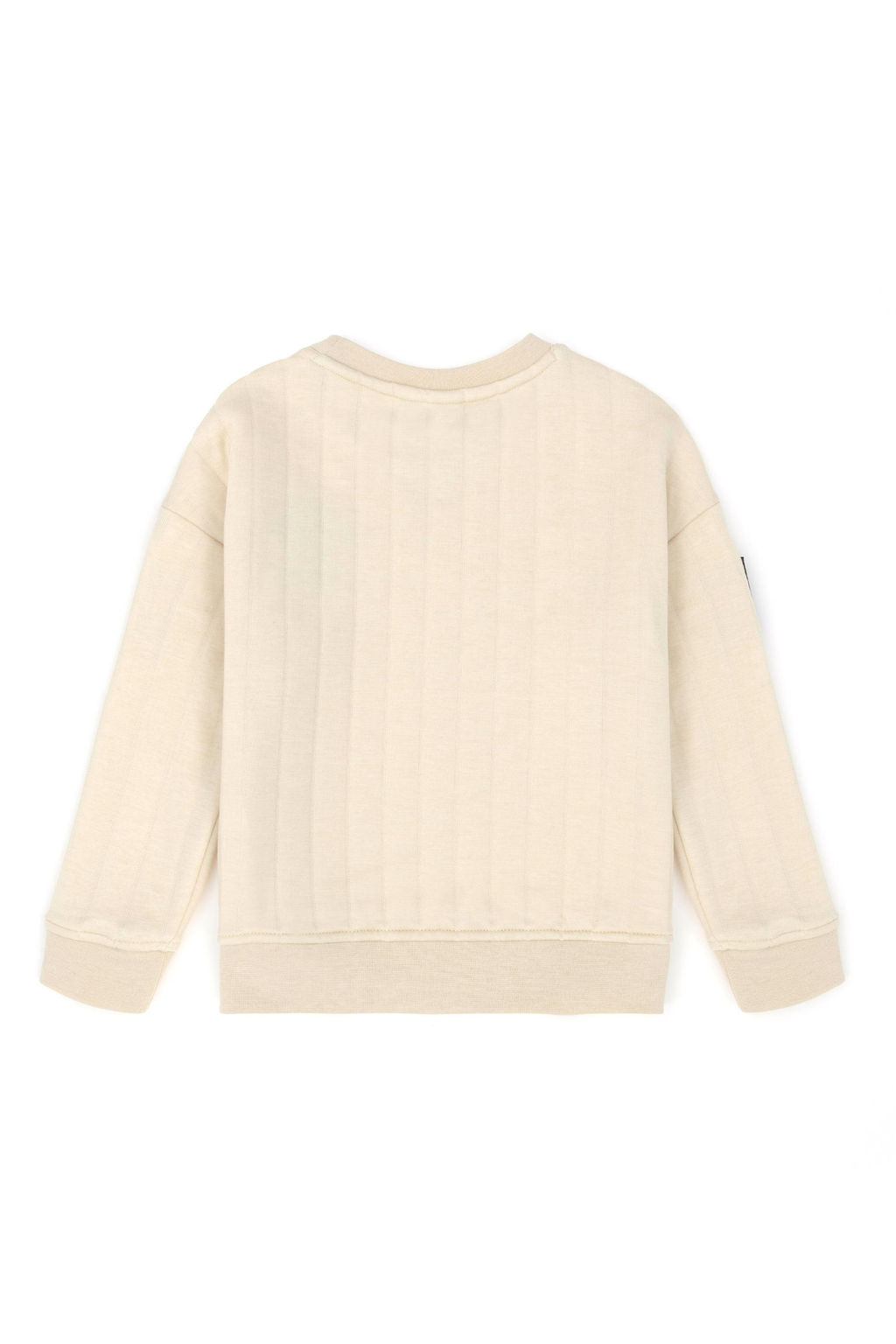 Erkek _ocuk Ta_ Sweatshirt