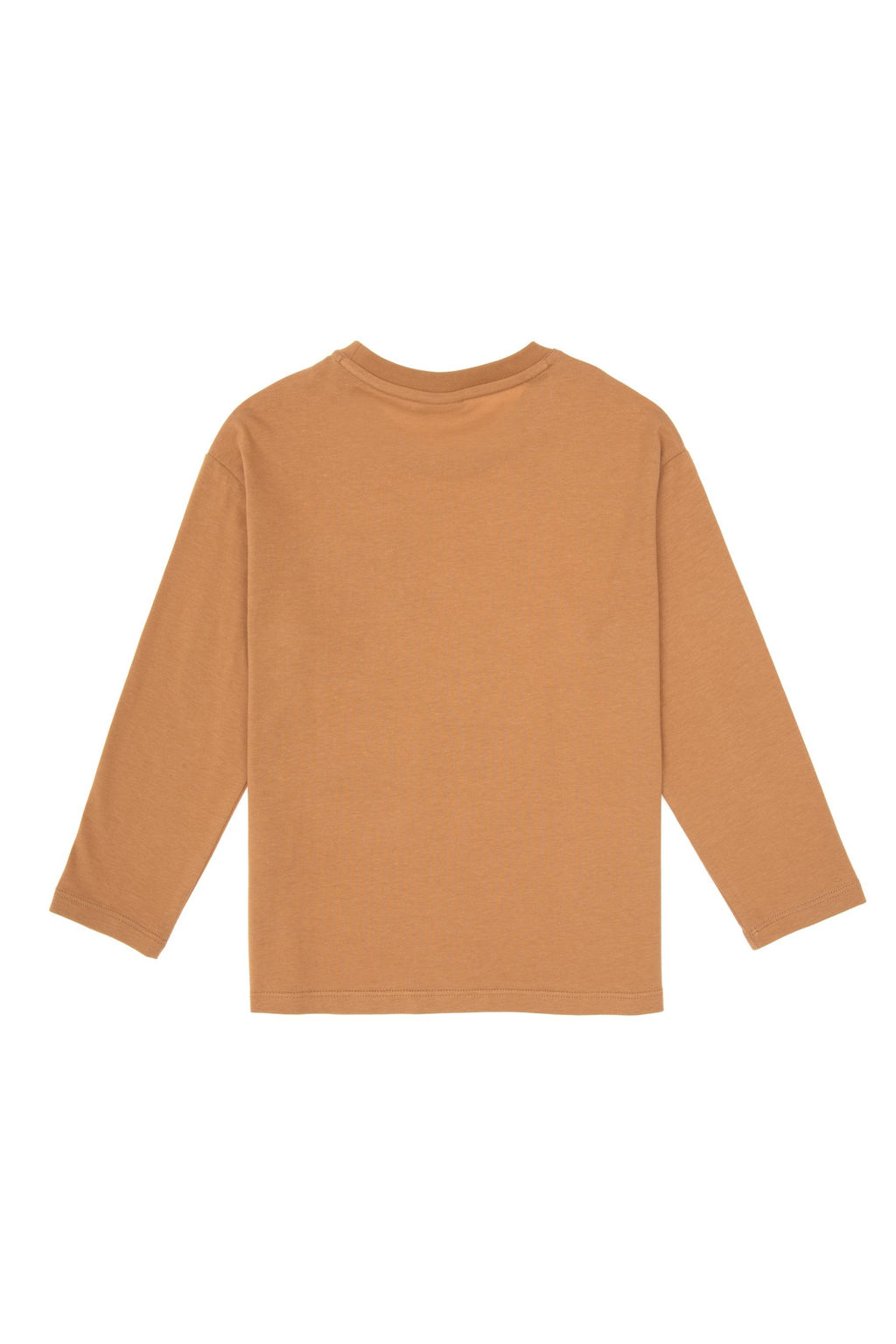 Erkek _ocuk Camel Bisiklet Yaka Sweatshirt - U.s. polo assn фото 2