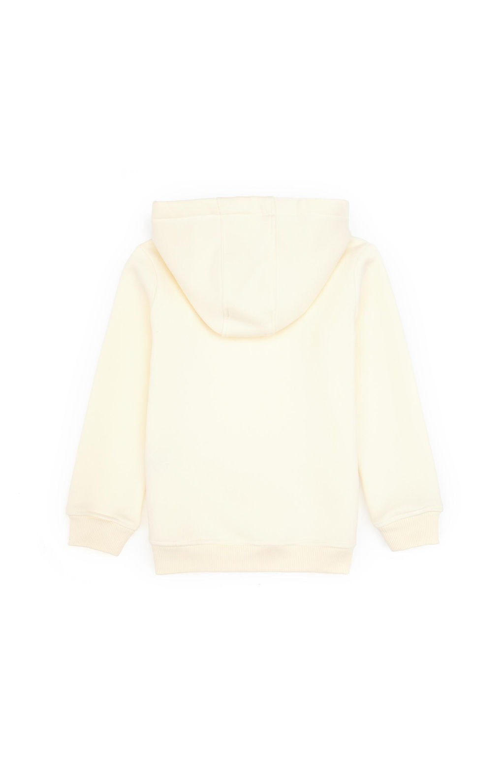 K_z _ocuk _nci Payet __lemeli _ardonlu Kap__onlu Basic Sweatshirt Sepette S_rpriz _ndirim - U.s. polo assn фото 3