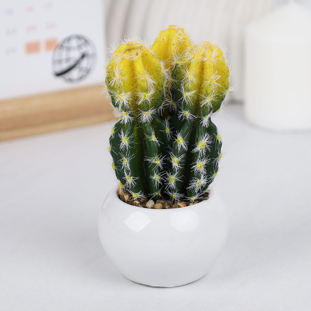 Цветочная композиция Кактус / WER-10 /уп 12/192/ микс