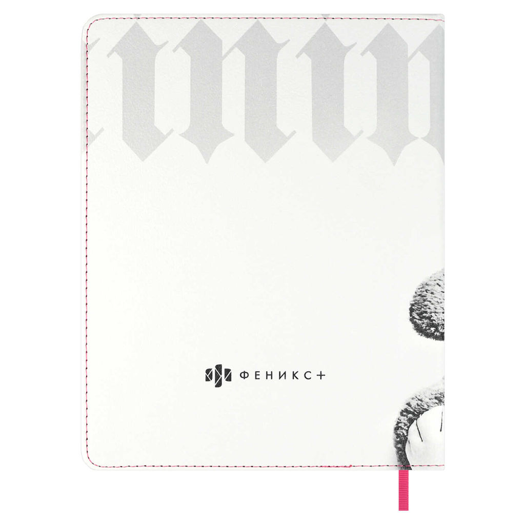 Дневник школьный арт. 68717 / 15 МИШКА В ШАПОЧКЕ