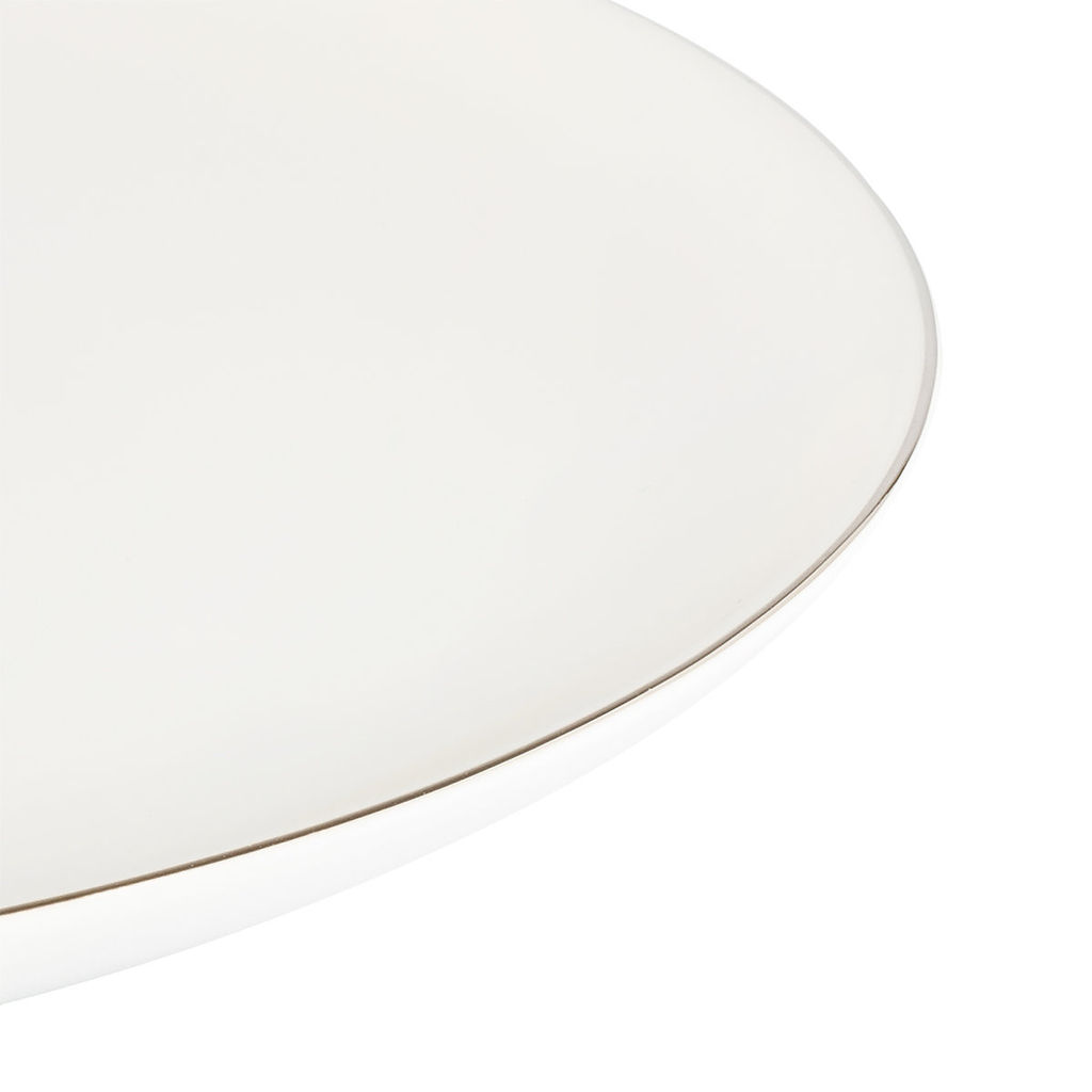 51534 GIPFEL Набор тарелок обеденных PLATINUM 26 см, 4 шт. Цвет: белый с ободком серебристого цвета. Материал: костяной фарфор.  фото 5