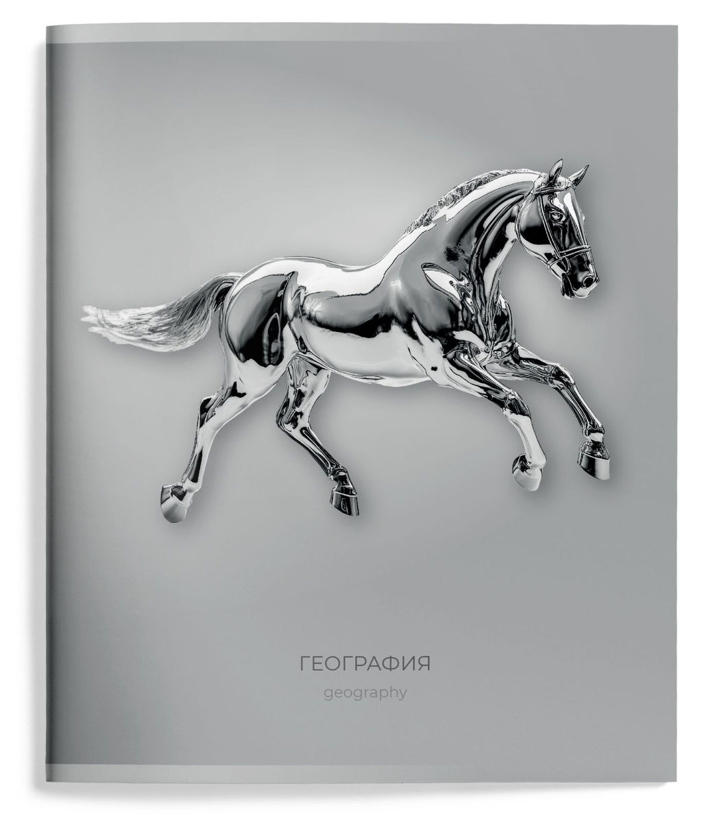 Цена за 2 шт. Тетрадь 48 л. А5 клетка, на скрепке, Schoolformat ЖИДКИЙ МЕТАЛЛ География мелованный карто...