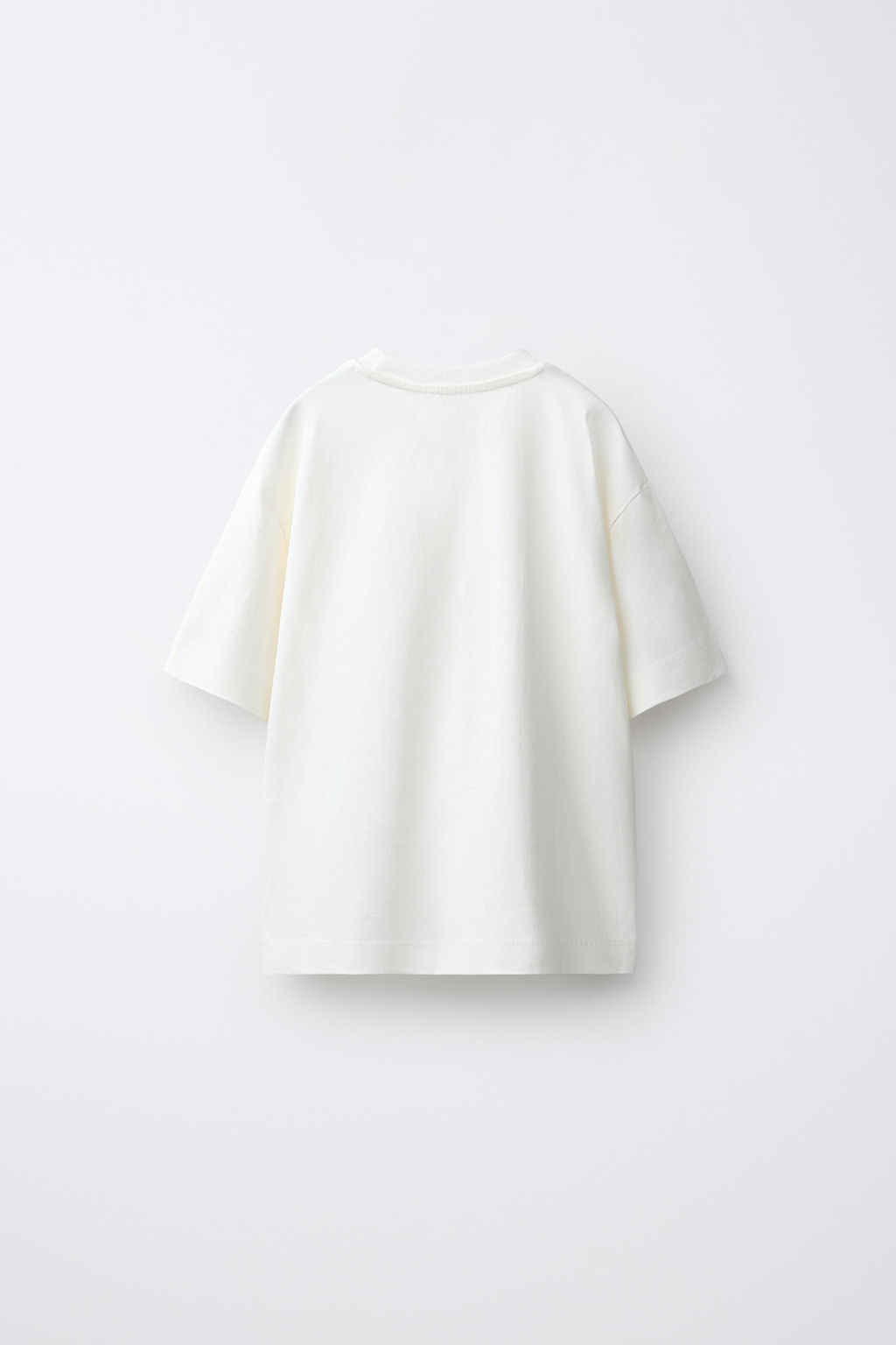 CAMISETA ESTAMPADO AXOLOTL / Blanco