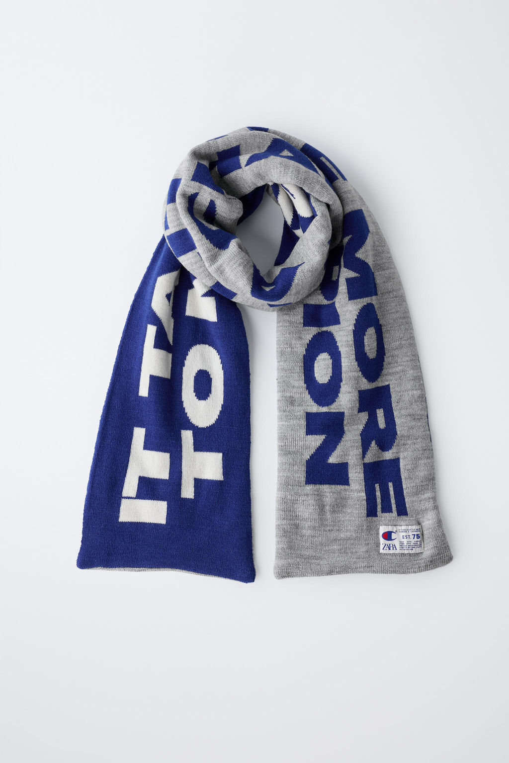 CHAMPION ® X ZARA PRINT SCARF