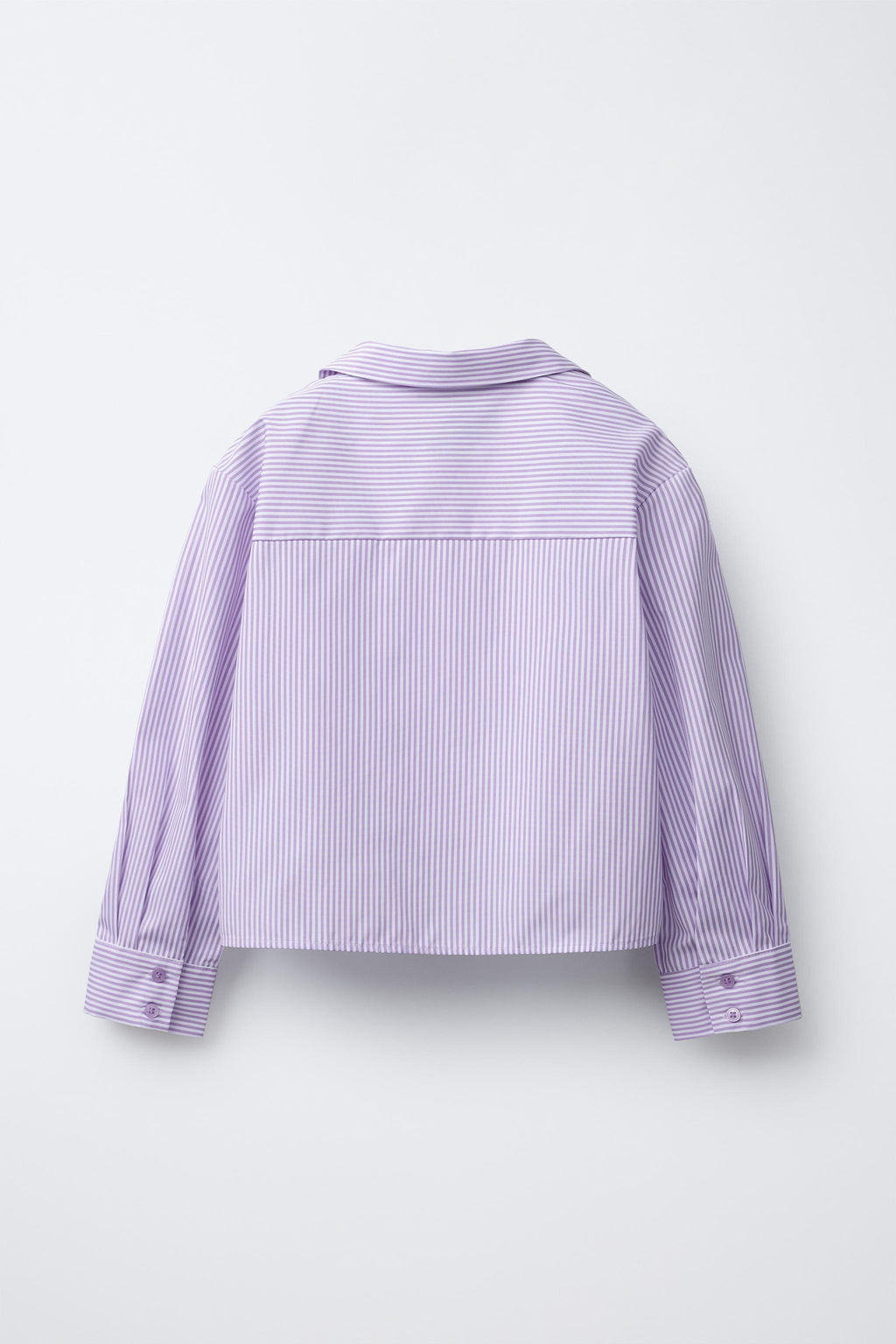 STRIPED POPLIN SHIRT AND RIBBED T-SHIRT PACK CHAMPION ® X ZARA  фото 3