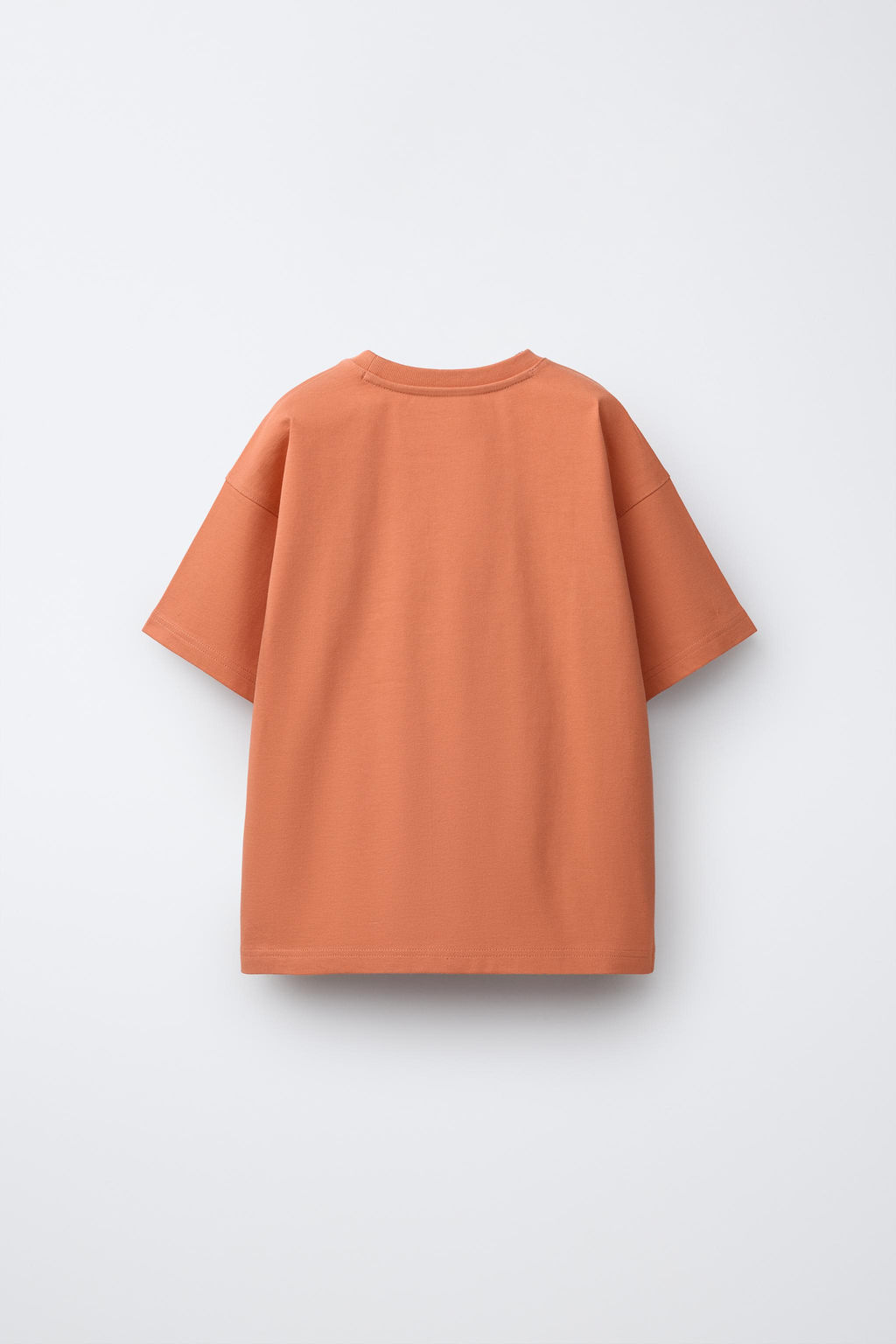 CAMISETA HEAVY WEIGHT TEXTO / Naranja - Zara фото 2