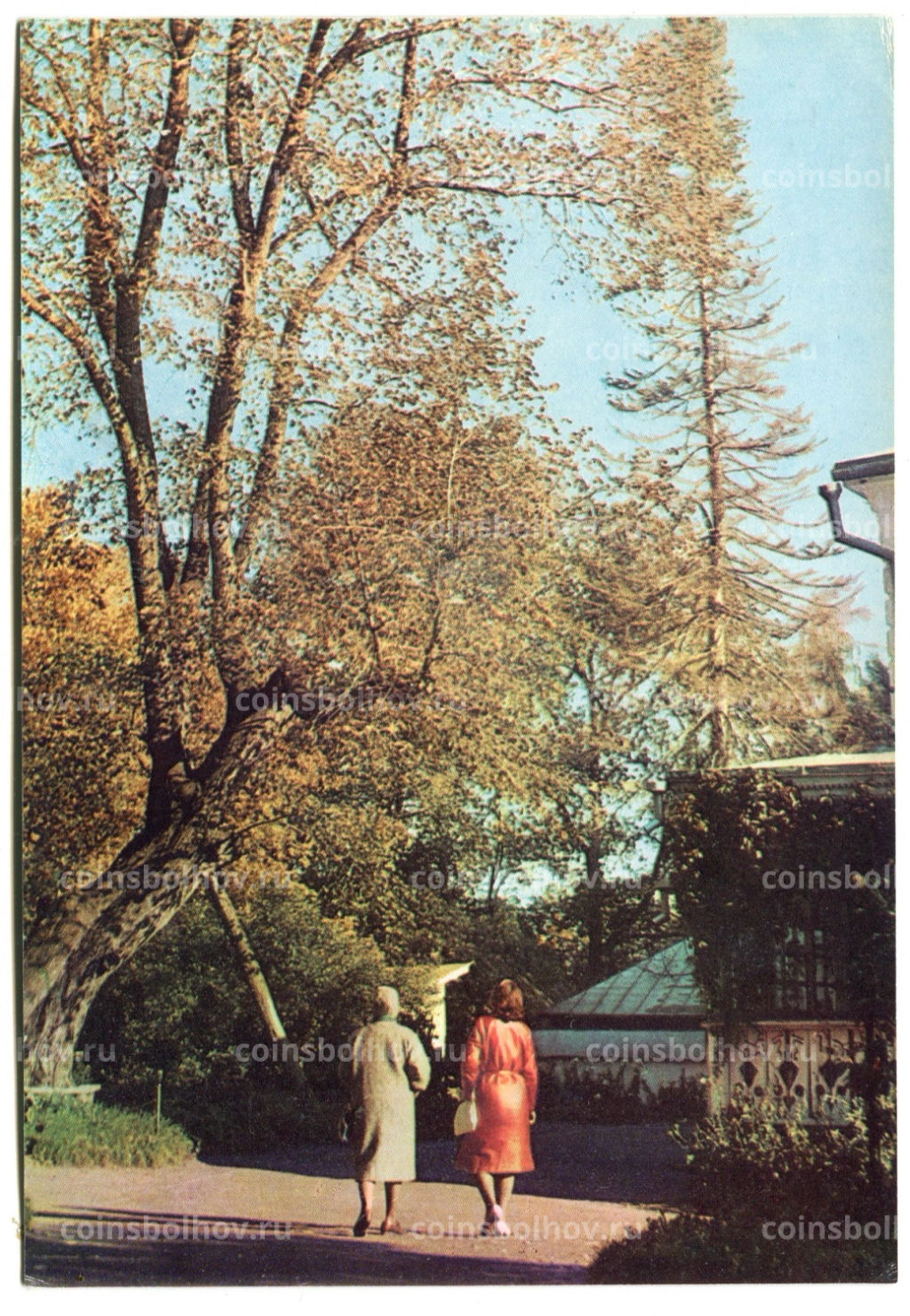 Открытка Музей-усадьба Ясная Поляна. Старый вяз дерево бедных