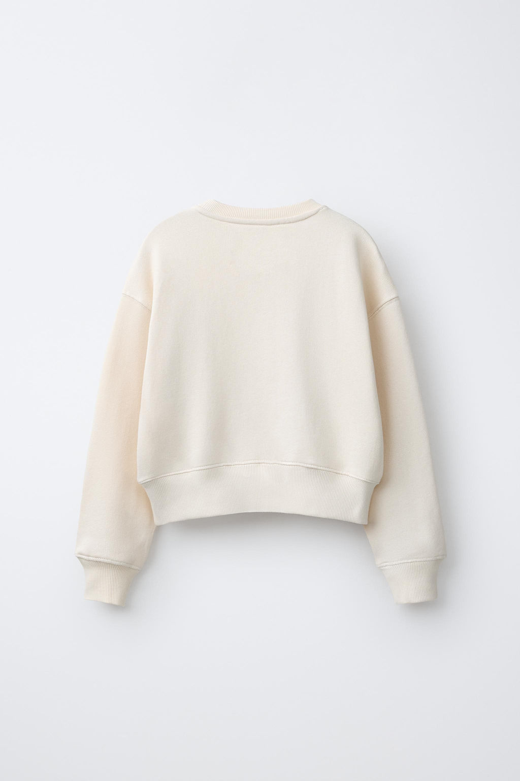 SUDADERA ESTAMPADO TEXTO / Hielo - Zara фото 2