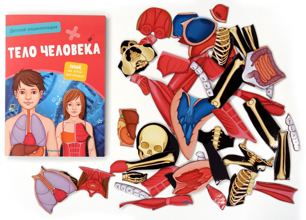 Тело человека. Интерактивная детская энциклопедия с магнитами (нов.оф.) (в коробке). Педрола А. - Махаон фото 4