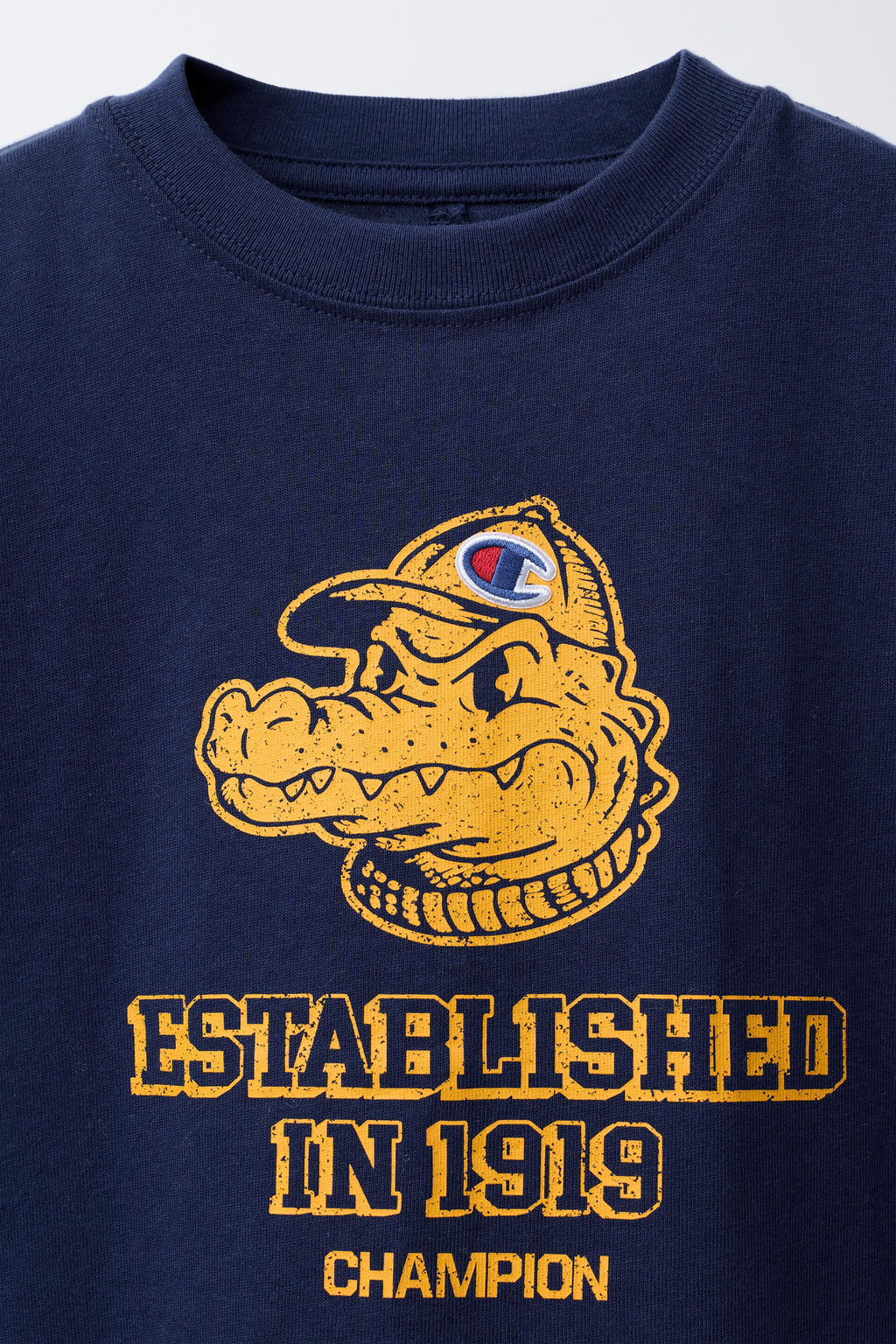 CROCODILE PRINT T-SHIRT CHAMPION ® X ZARA фото 3