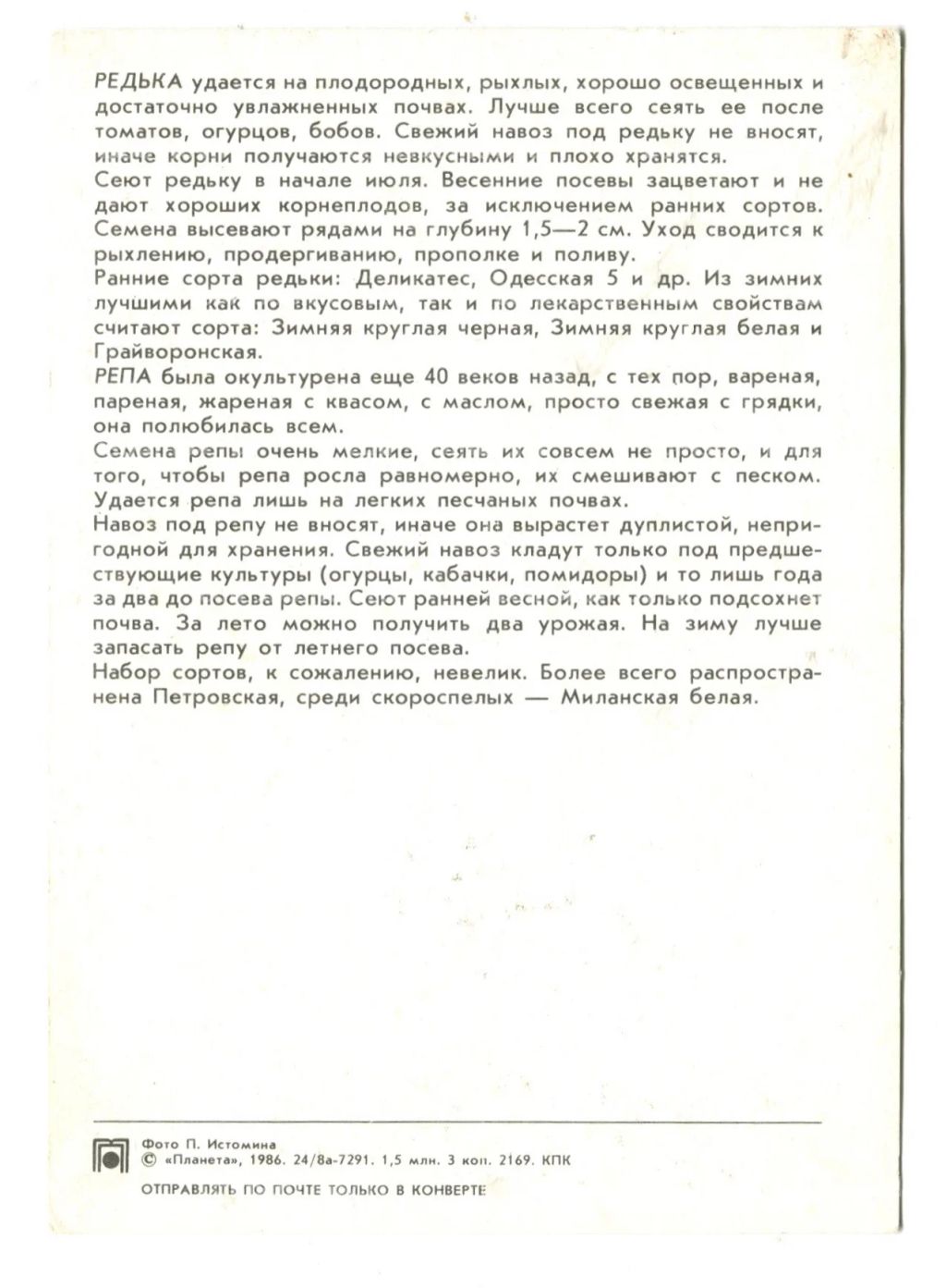 Открытка Редька.Репа