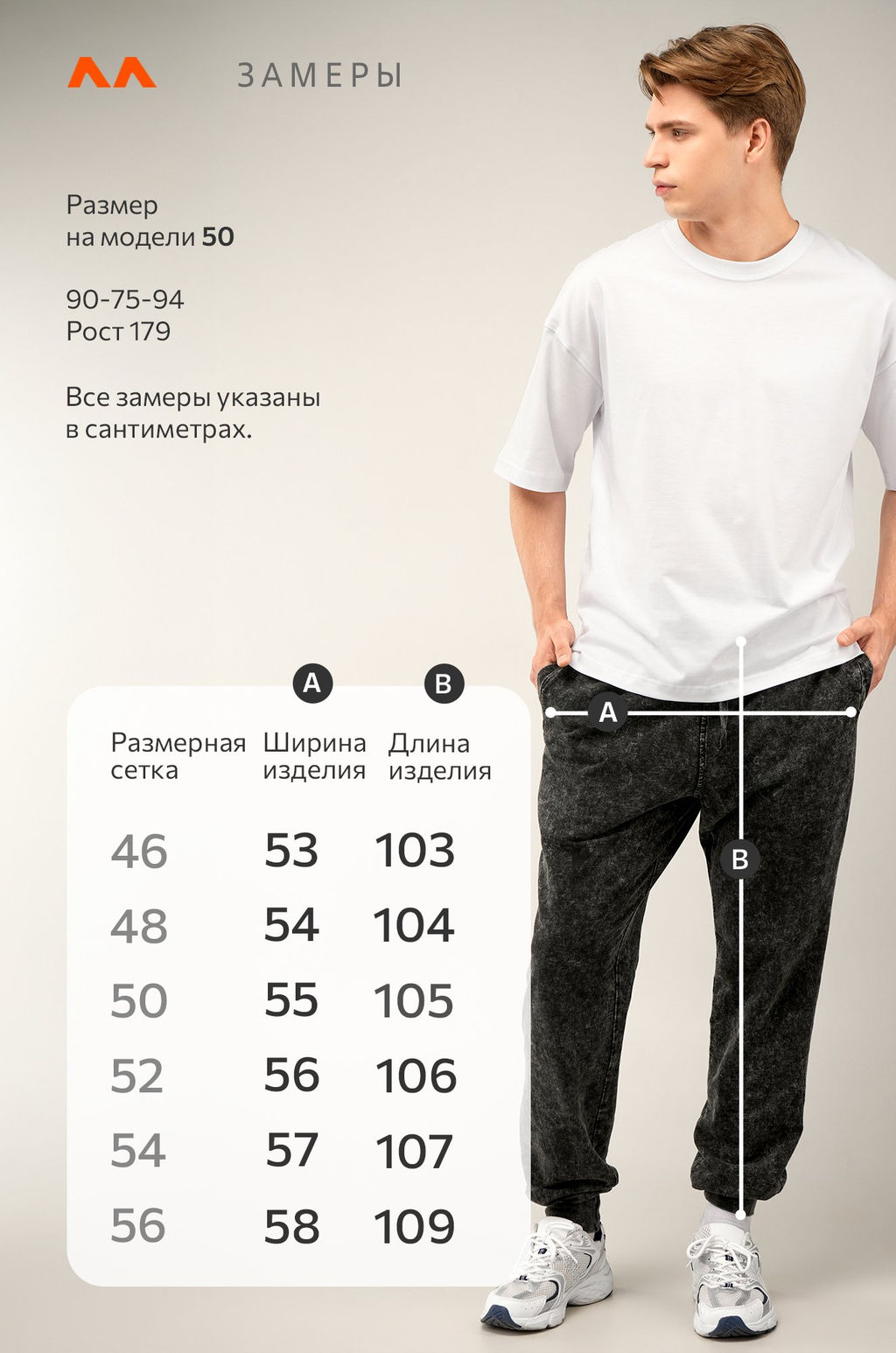 Мужские брюки из футера двухнитки Happyfox