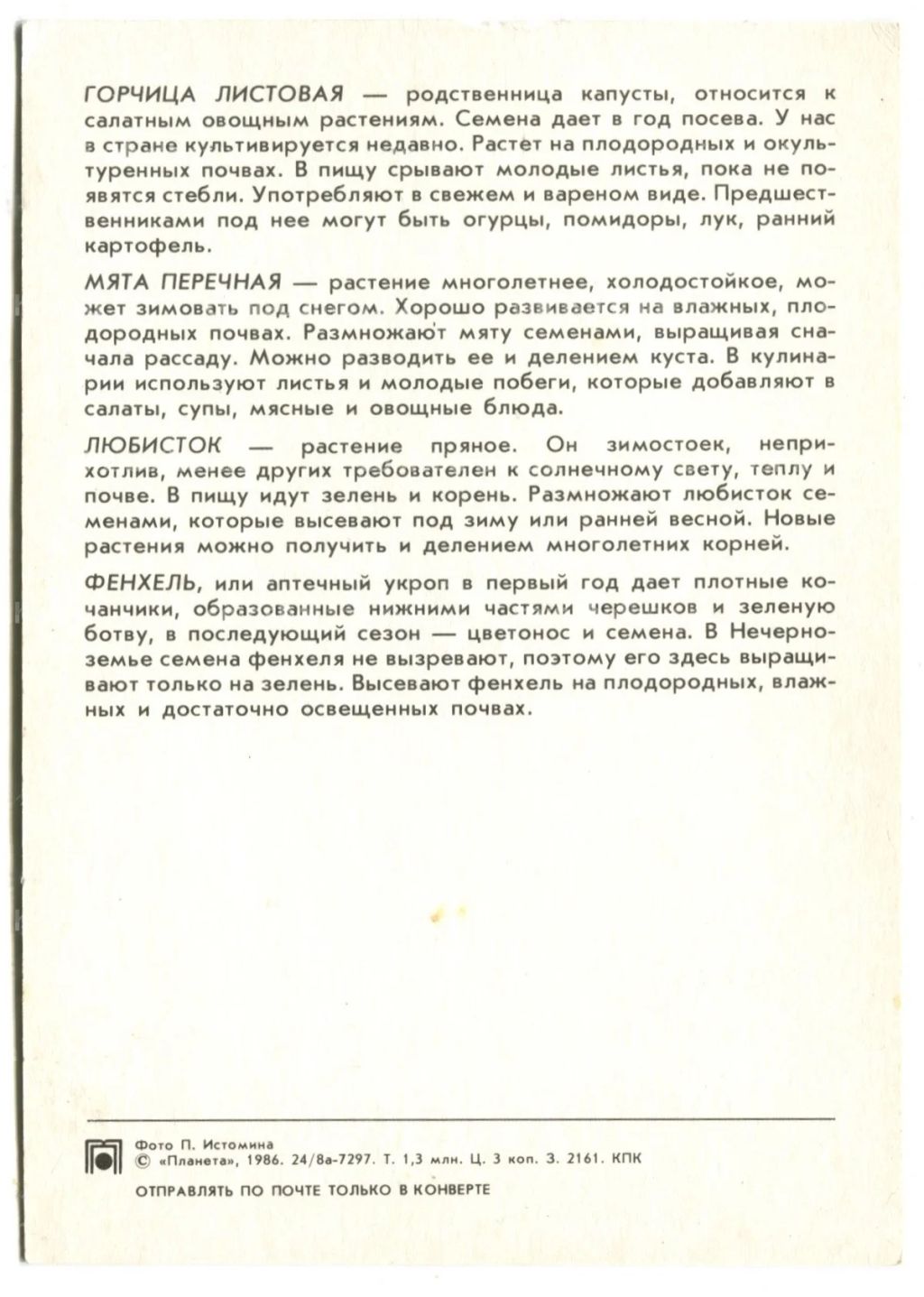 Открытка Горчица.Любисток.Мята.Фенхель