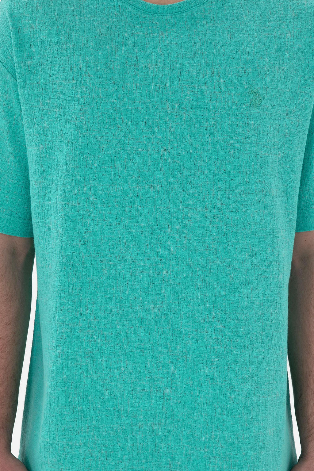 Erkek Comfort Fit Bisiklet Yaka Mint Jakarl_ _nterlok Ti__rt Sepette S_rpriz _ndirim - U.s. polo assn фото 6