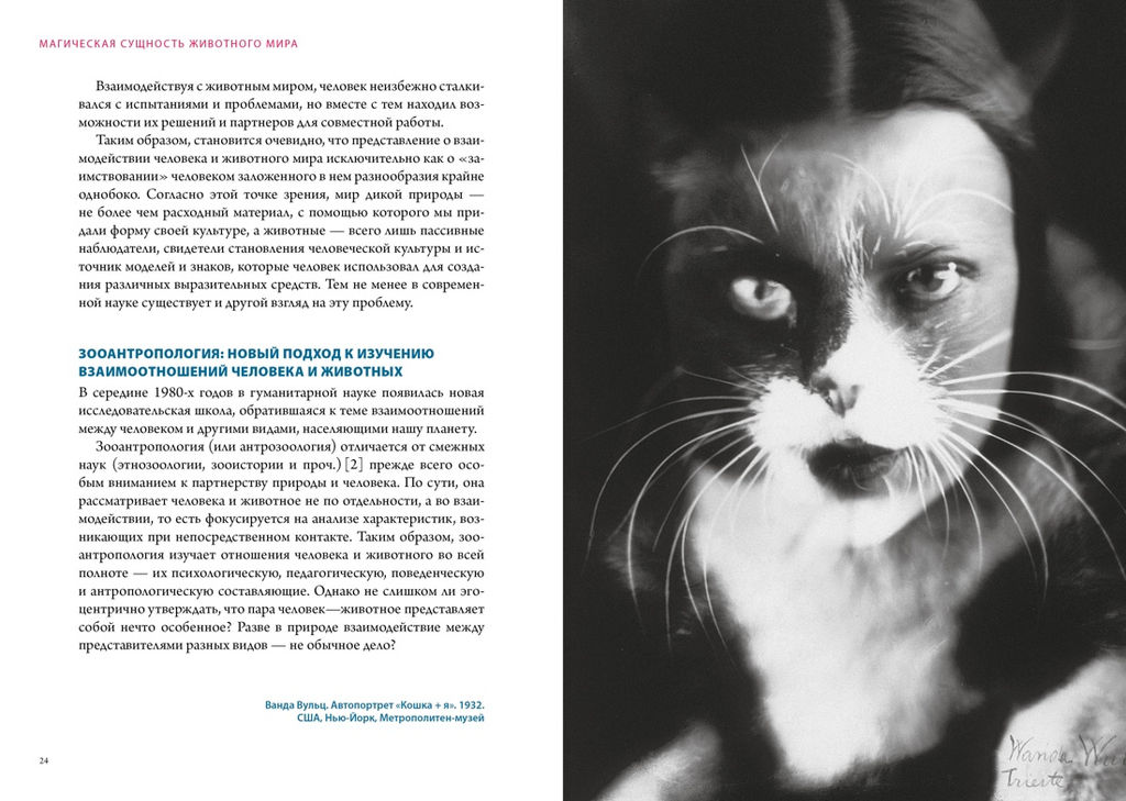 Бестиарий. Животные в ритуалах, искусстве и фольклоре. Маркезини Р., Тонутти С. - Колибри фото 6