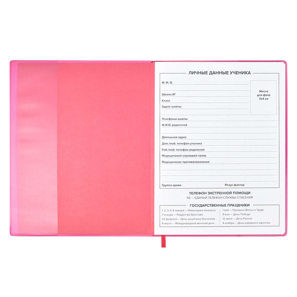 Дневник школьный арт. 53643 / 15 ЕЖИК - Феникс+ фото 5